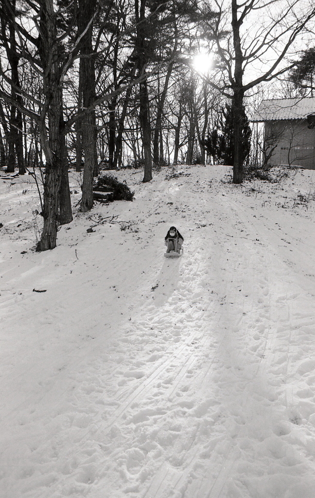 芸術むら公園の傾斜でそりを滑る孫