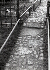 徳川園散策路