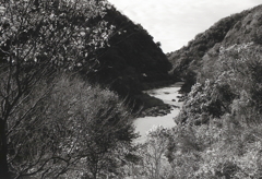 玉野川下流風景