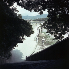 木々の中に竹島桟橋