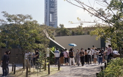 人気絶大のシャバーニ