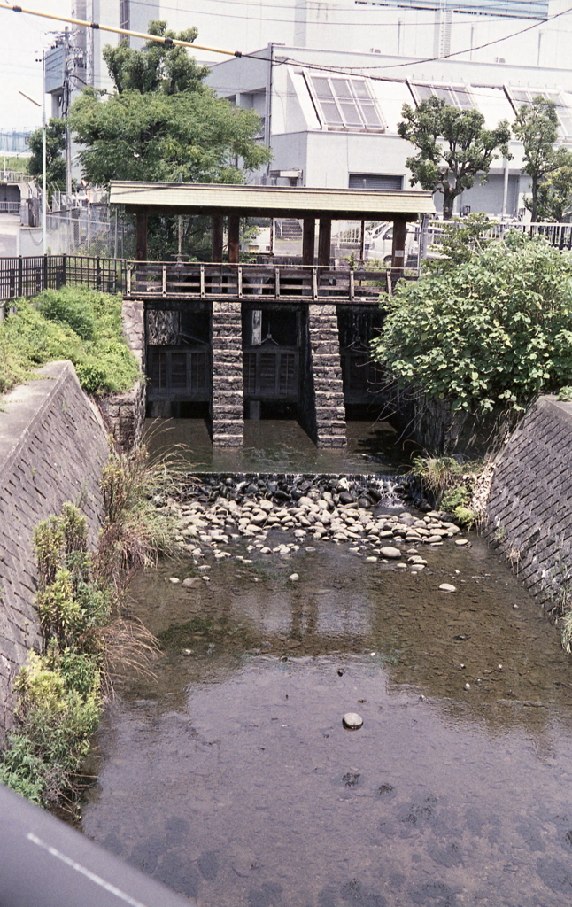 矢田川の下を潜り御用水流れ始める御用水
