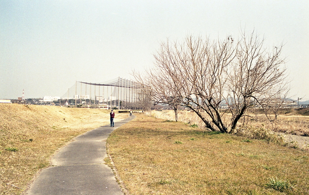 河川敷を歩く人