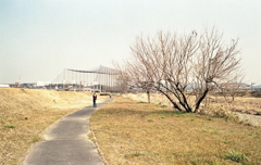 河川敷を歩く人