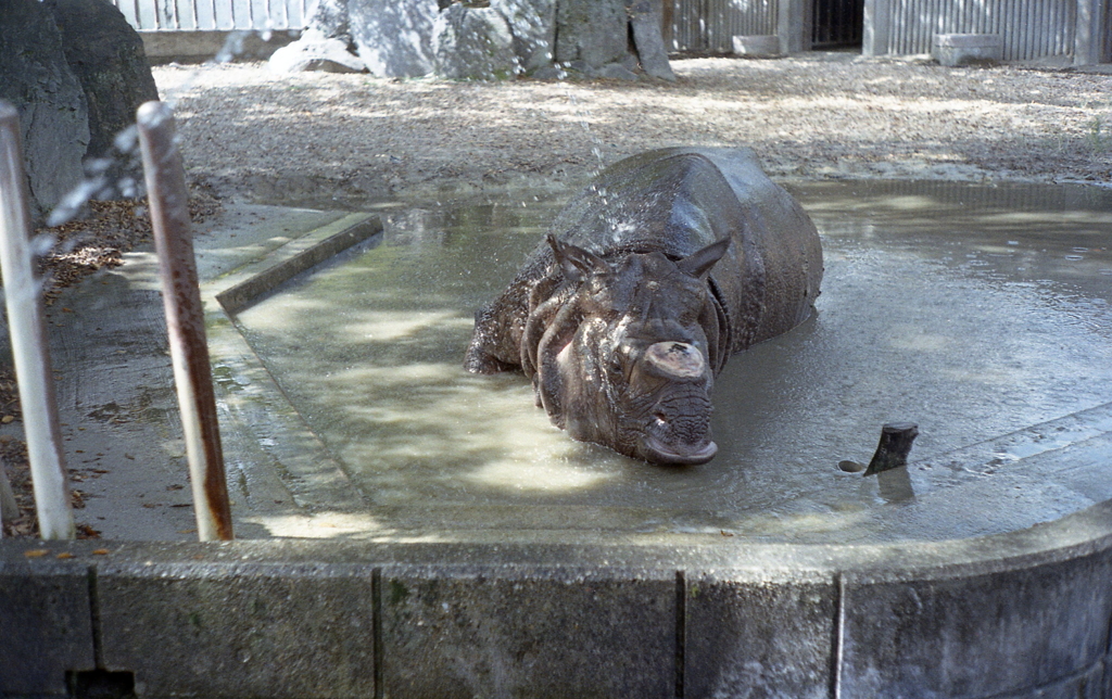 チョ～気持ちいい！何もいえねぇ。
