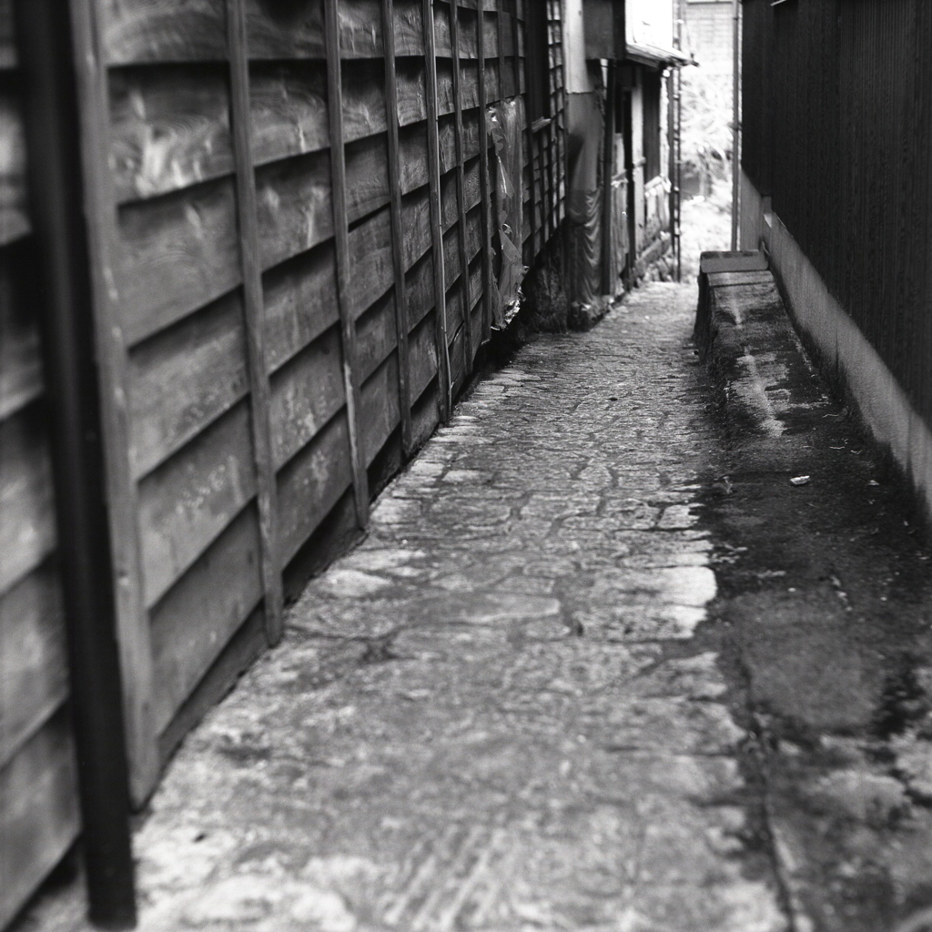 旧道の路地