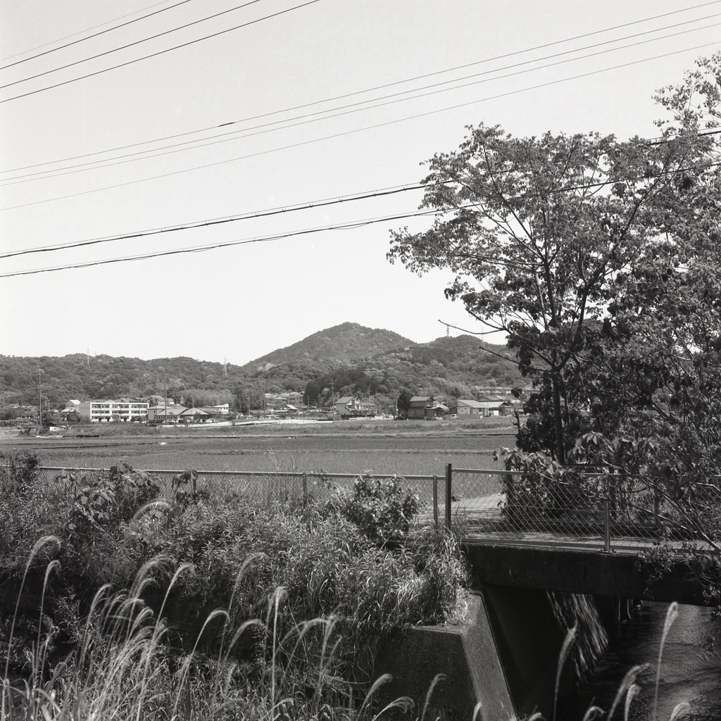 犬山のワンシーン風景