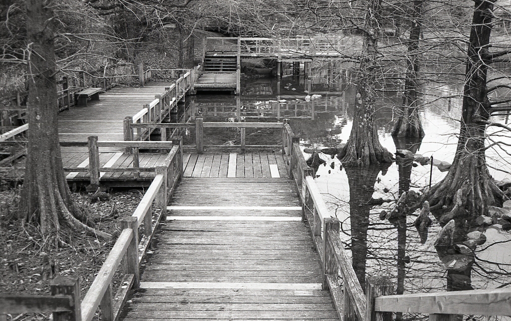 Minolta HI-MATIC E 試写Ⅷ