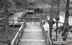 Minolta HI-MATIC E 試写Ⅷ