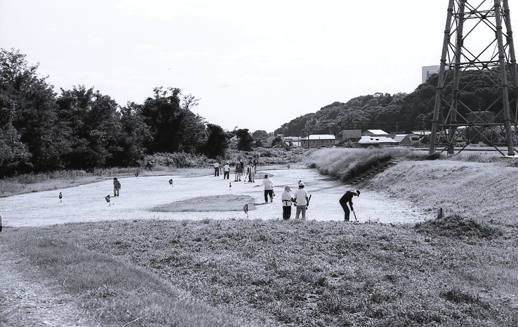 Astrum Micrat-N 6(microfine希釈1