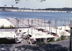 これらの機械は何だろうか…