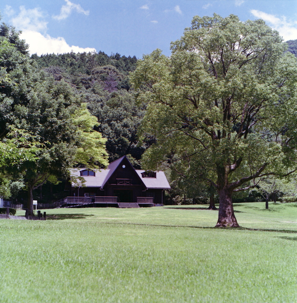 弥勒山を背景に…真夏のロッジ