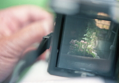 偶には花でも…