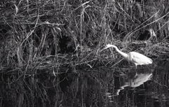 そぉ～っと見つめてごらん