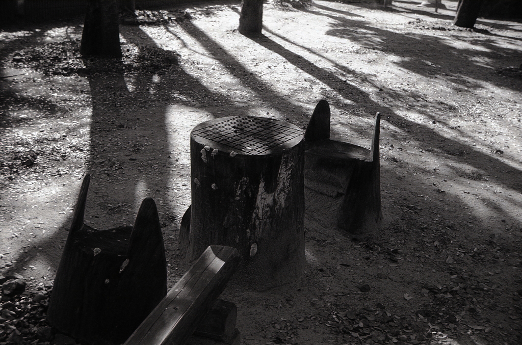 神社の対局　～今日の撮影・現像より