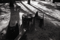 神社の対局　～今日の撮影・現像より