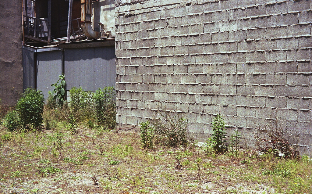 溢れたセメント　～円頓寺・那古野