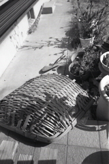 竹箕見たのは何年振りだろうか?(笑 竹箕見たのは何年振りだろうか?(笑