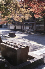 定光寺へ墓参と紅葉狩り