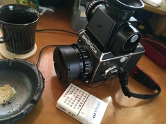 朝のだるさにブロニカ眺めて…