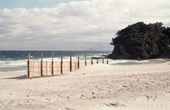幼き思い出の伊豆白浜