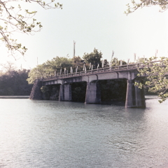 観音様の橋（補正アリ）