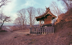 祠に差す西日