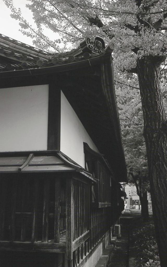 蓬左文庫の屋根と漆喰　～徳川園