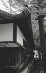 蓬左文庫の屋根と漆喰　～徳川園