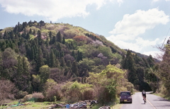 サイクリングも気持ちよさそう！