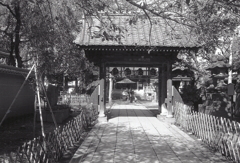 新井薬師　～東京モノクロ