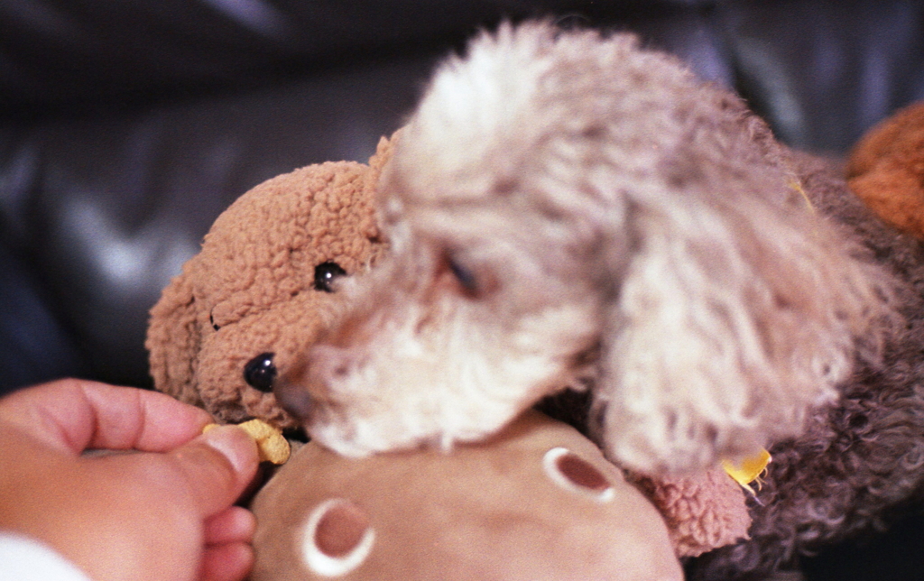 マリちゃんだけおやつもらってずるい！