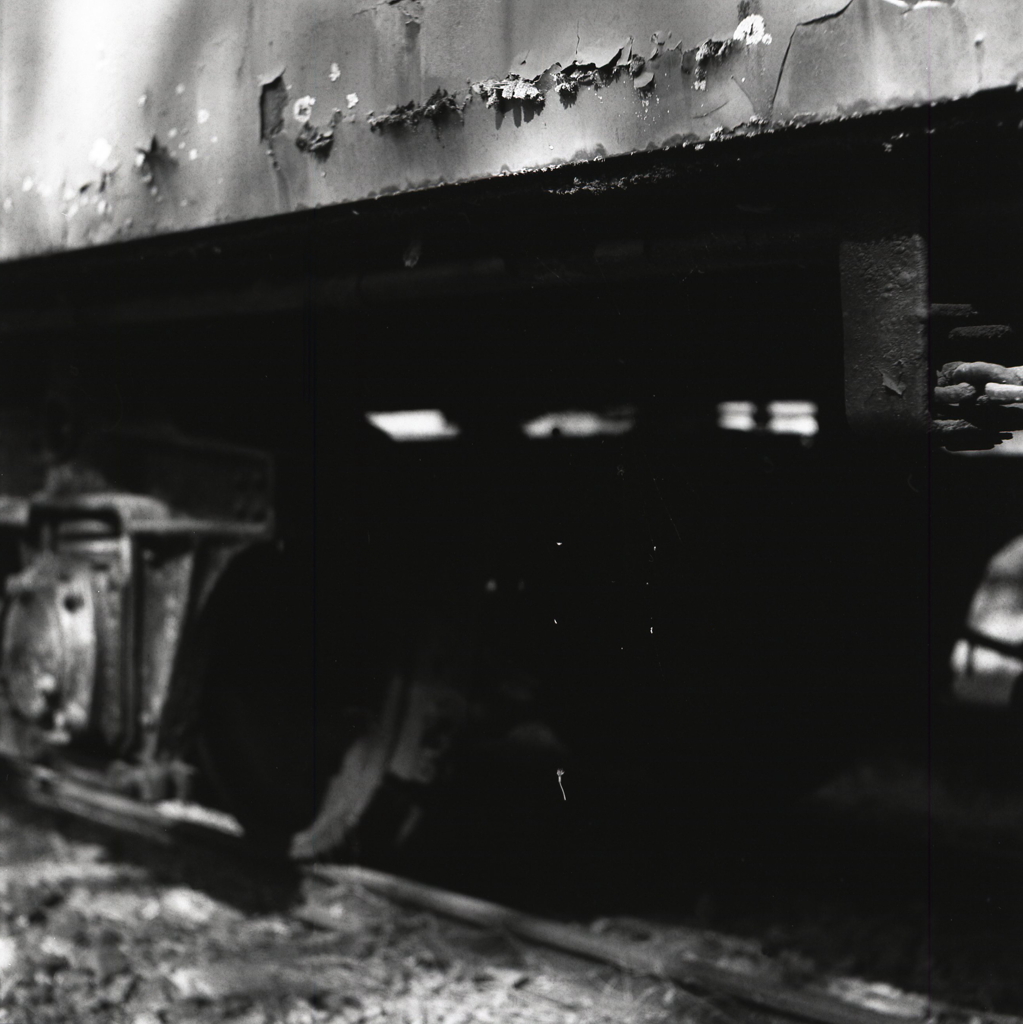 黒つぶれの画像　～Rollei Retro80Sの難しさ