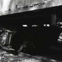 黒つぶれの画像　～Rollei Retro80Sの難しさ