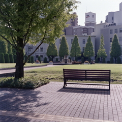 ビル街の芝生とベンチ ビル街の芝生とベンチ