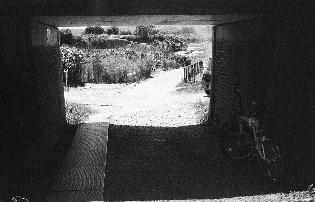 高架を過ぎれば農道だ。