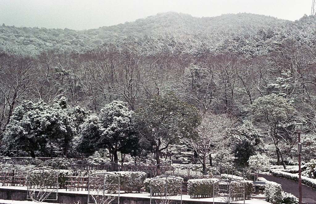 雪の弥勒山