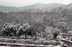 雪の弥勒山 雪の弥勒山