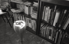 並ぶ写真集に煙草の煙