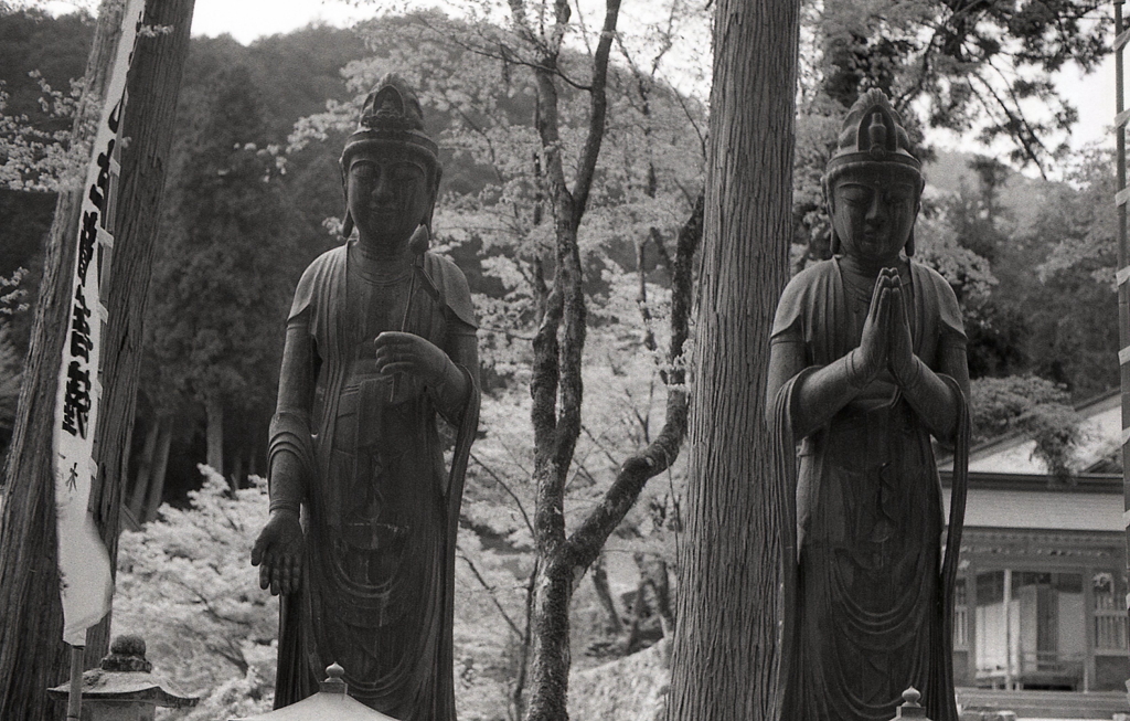 谷汲山華厳寺参道を撮り歩く