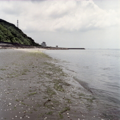坂井の浜