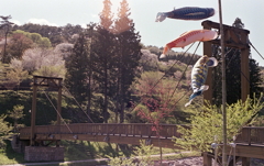 そうそう元気よく泳ぐんだ！今日は子供の日。