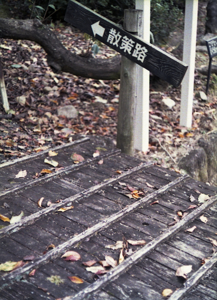 散策路への掛板