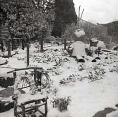 植木鉢の雪人形