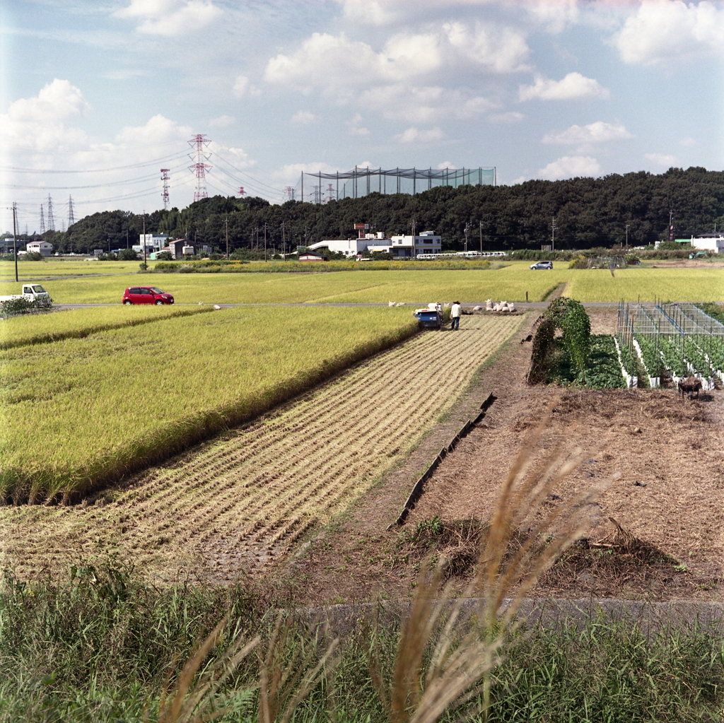 秋の風景