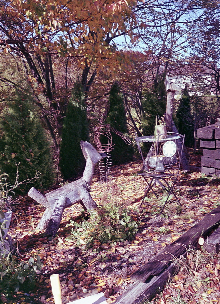 店舗の庭にシャッター切ってた。