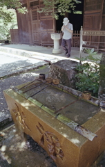 真夏の手水舎