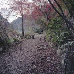 玉野古道