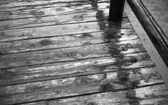 木橋の木目を踏み渡る