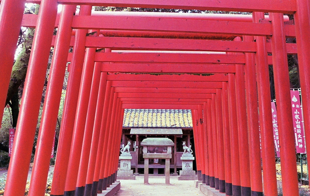 朱の鳥居